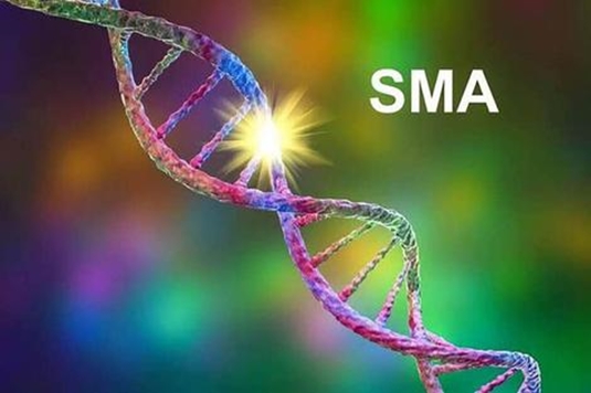 برگزاری جلسه شورای سمن های سلامت (SMA)