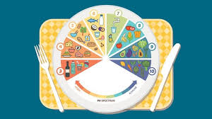 سامانه تغذیه